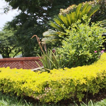 Hotel Syvanna Wellness And Spa Cerritos Ngoại thất bức ảnh